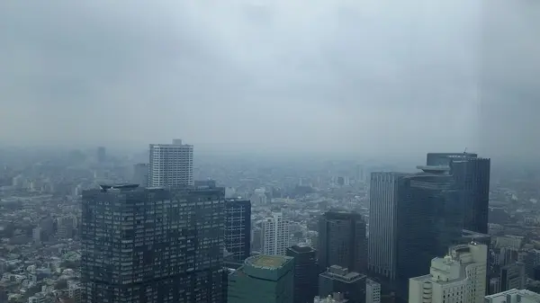 東京都内を一望