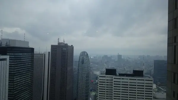 東京都内を一望