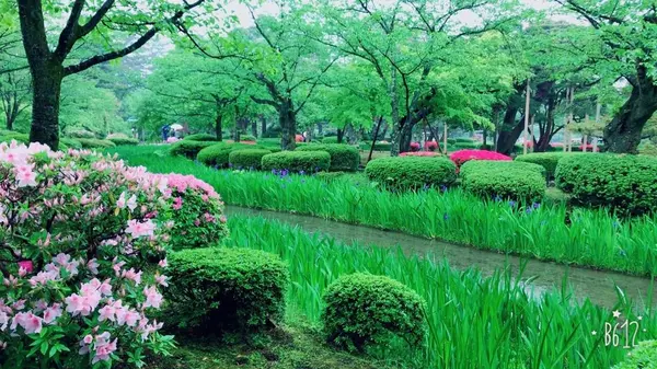 雨の兼六園
