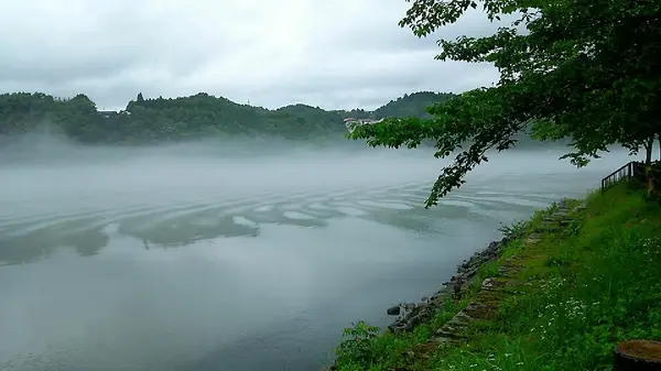 遊覧船が行った後は…