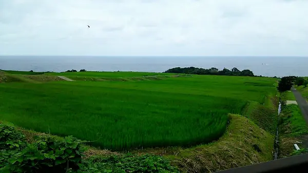 前田んぼ