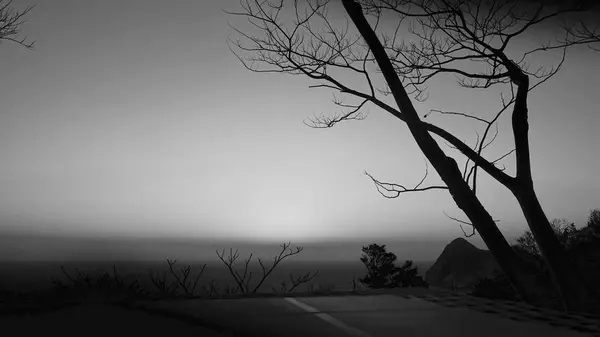 black and white.