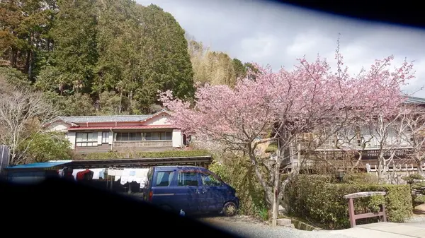 外観はこんな感じです。