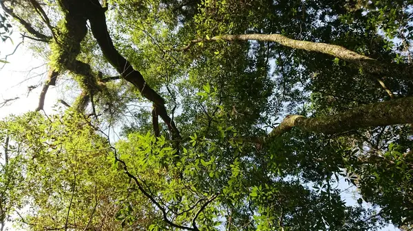 頭の上も見て！