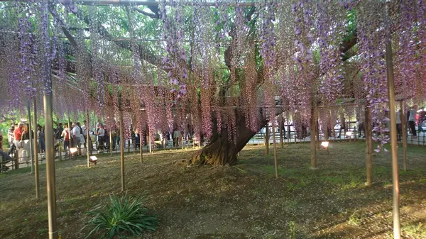 2018/4/29