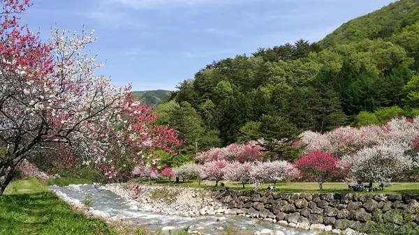 川沿いに