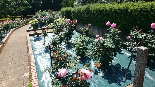 2018/5/5