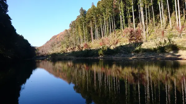 水が