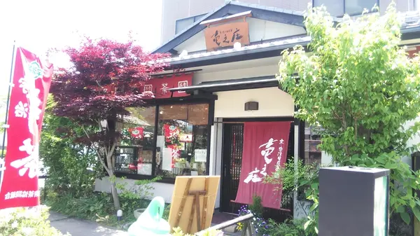 緑とお花に囲まれています