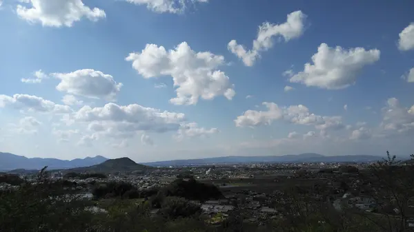 大和三山が一望