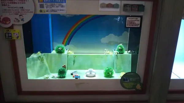 虹