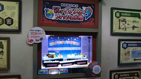モテモテ　イケメン　フィッシュ水槽