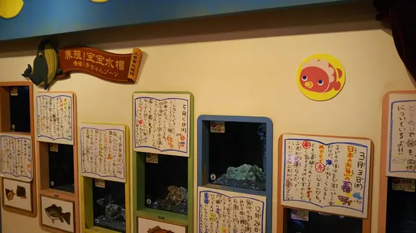 赤ちゃん水槽