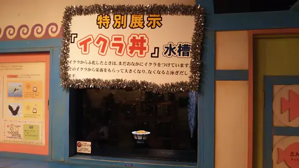 イクラ丼