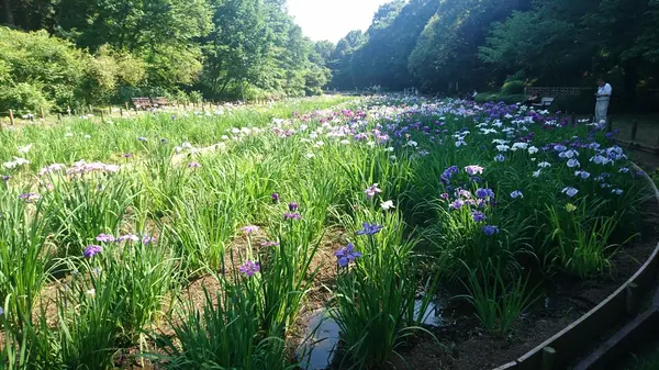 2018/6/3