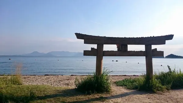 朝日を浴びる海辺