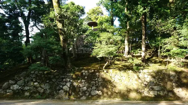 スポット