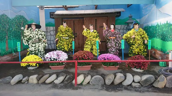その素晴らしい菊を見よ