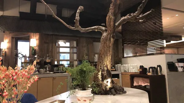広い！