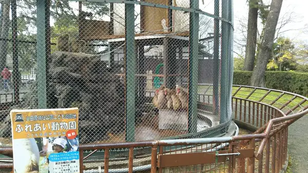 動物園も併設