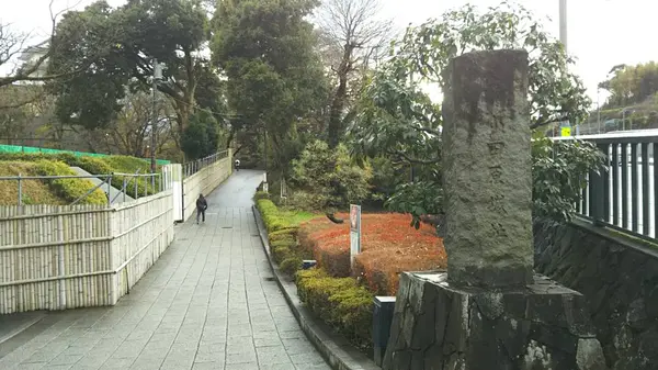 武田信玄と小田原城