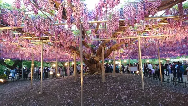 2019/5/4