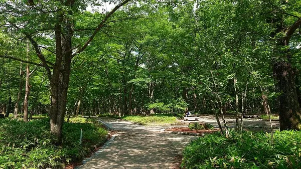 公園