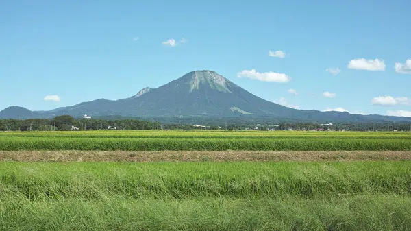 鳥取人から愛される山。