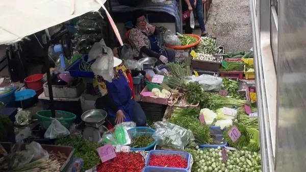 野菜を踏む列車