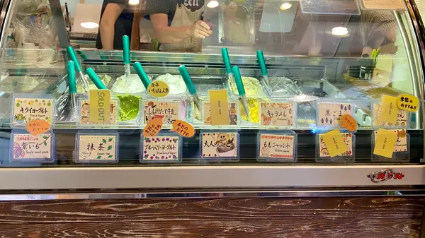 2020年9月のラインナップ🌿