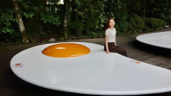 これは…目玉焼き？