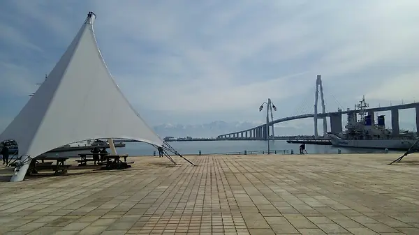 新湊大橋