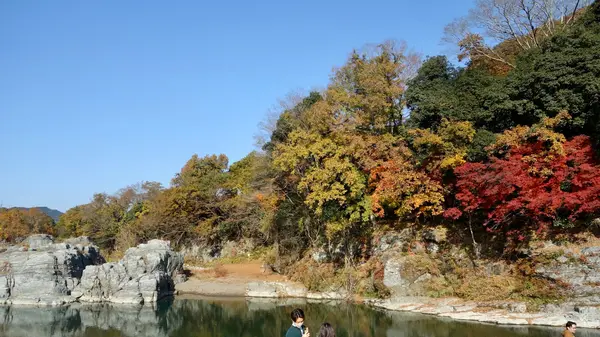 紅葉の時期に訪れたので・・・