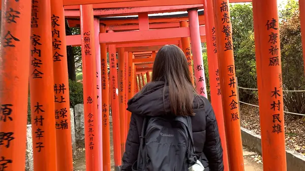 千本鳥居は本殿の隣に！