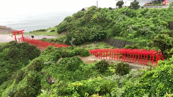 上から見るとこんな感じ