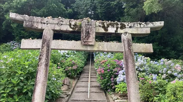 鳥居発見！