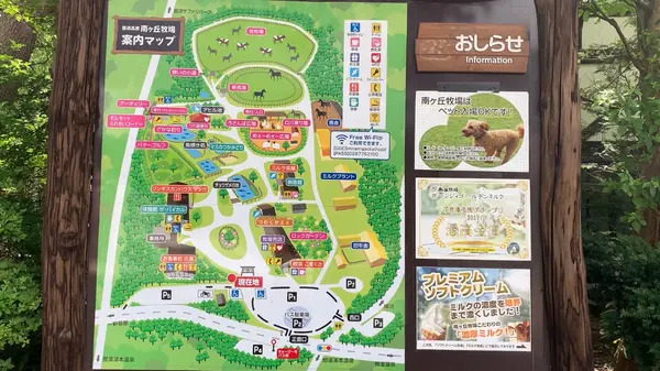 マップ