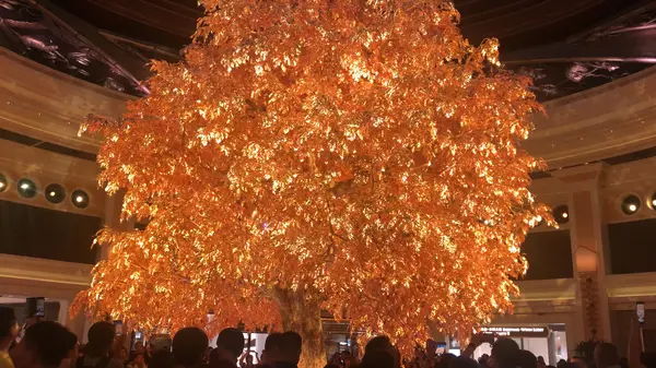 ウィンマカオ吉祥樹ショー