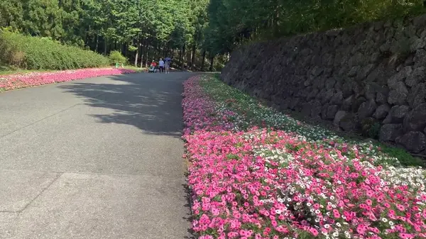 花の広場へ