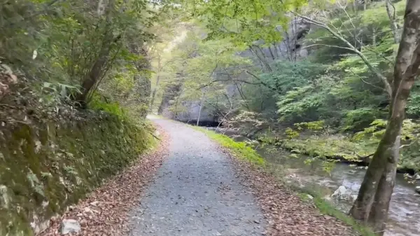 どんどん進んでいく