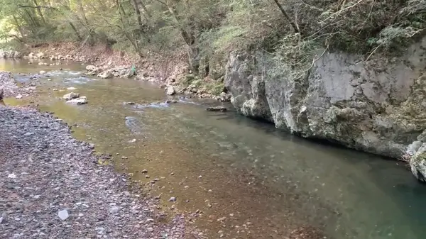川沿いの道