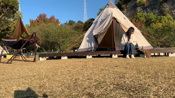 キャンプ場にまでウサギさんが来てくれました〜🐇
