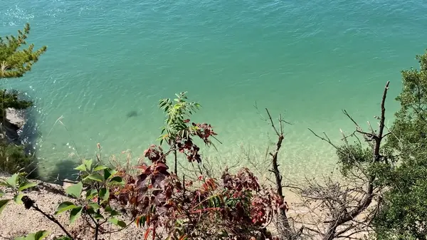 綺麗な海