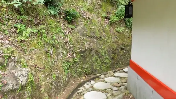 新殿の裏側へと続く石畳の小道