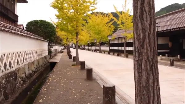 お堀の水路に鯉が泳いでます