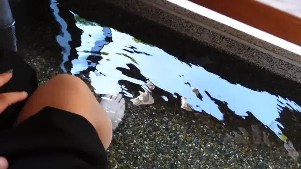 足湯が気持ちい〜リラックスタイム