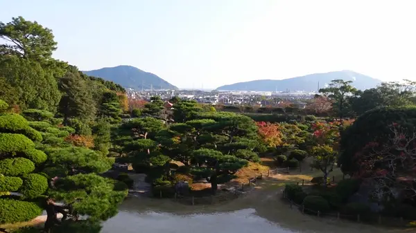 博物館の窓から見える庭園の景色