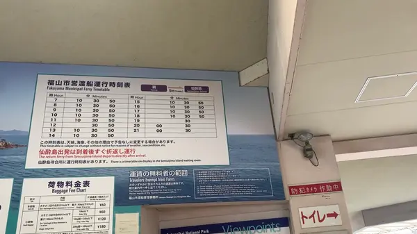 船は20分に1便出ている感じです！