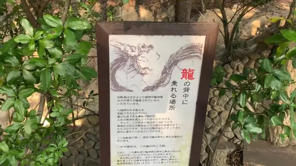 龍の背中に乗れる場所