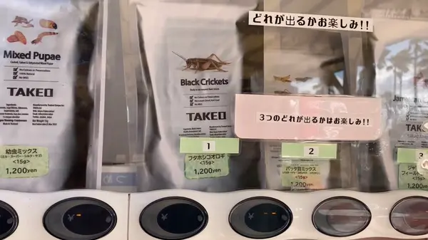 スポット内のおすすめ